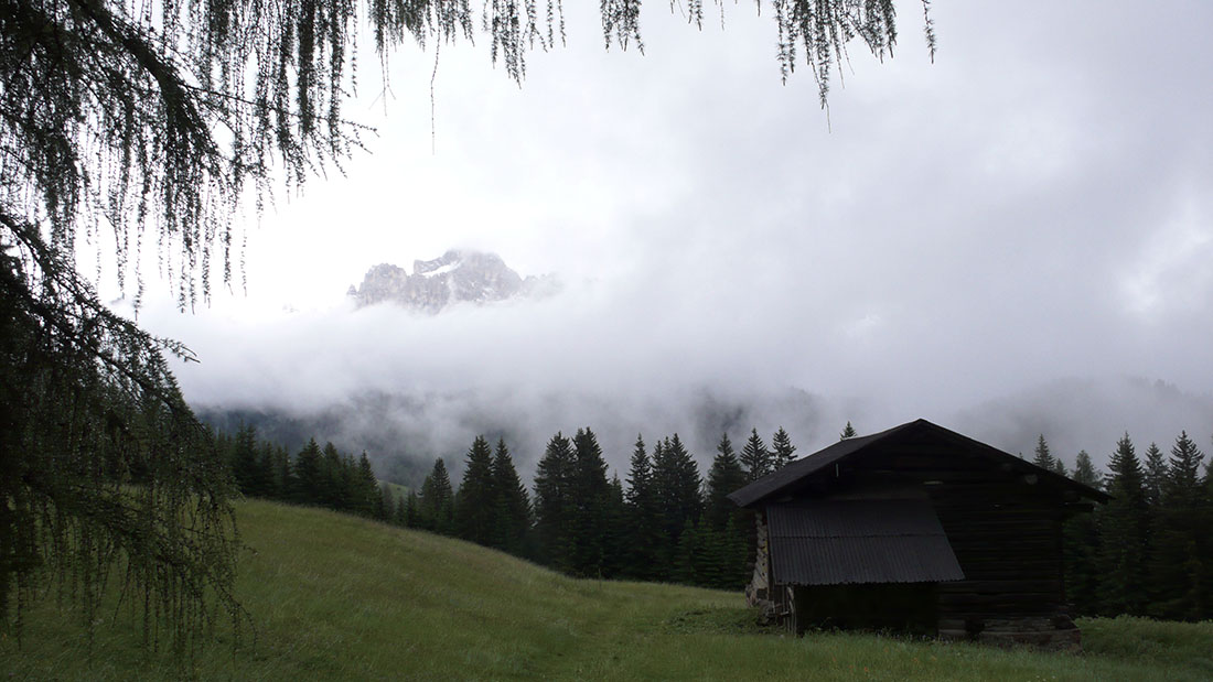 Rosengarten 03.jpg